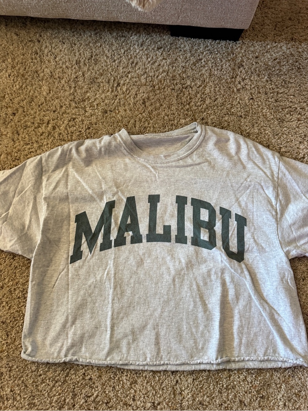 Brandy Melville Light Gray Malibu Crop Tee with Dark Green Logo